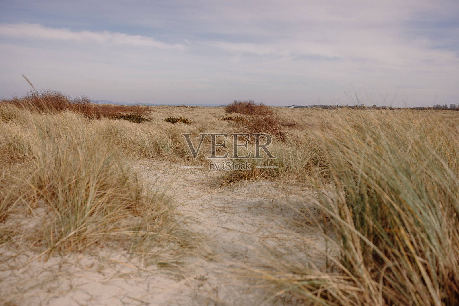西威特林海滩照片摄影图片