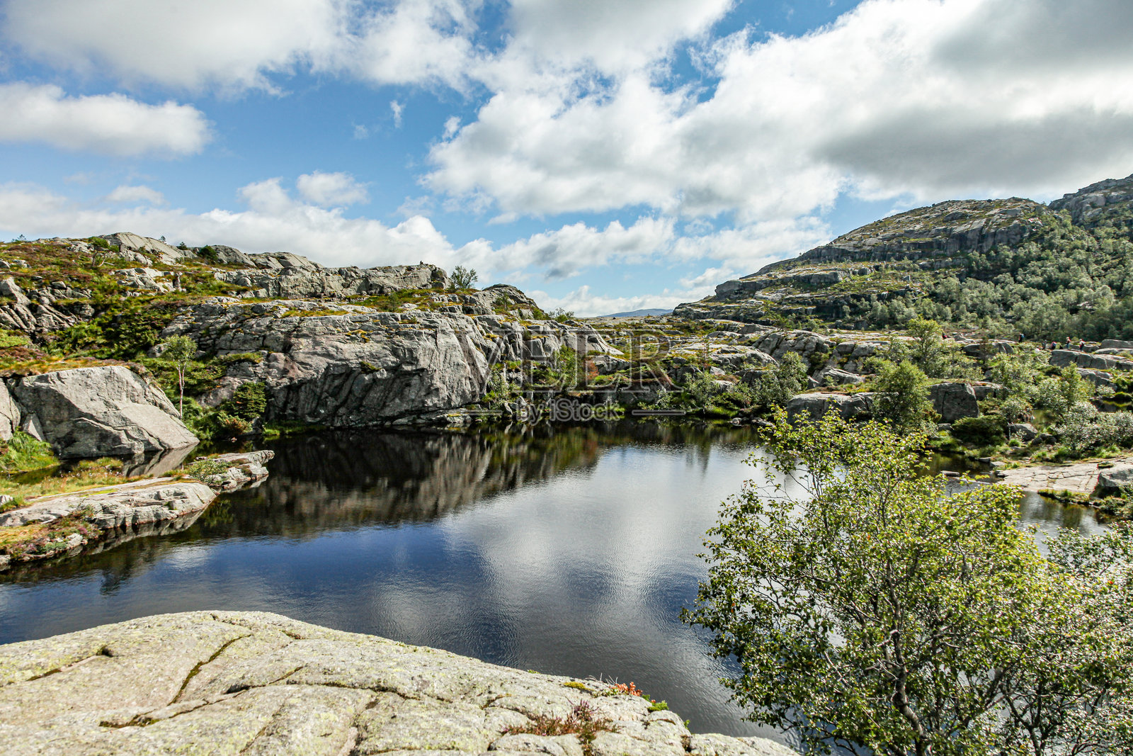一条通往普雷克斯托伦的道路旁的湖泊，背景有一棵树。照片摄影图片