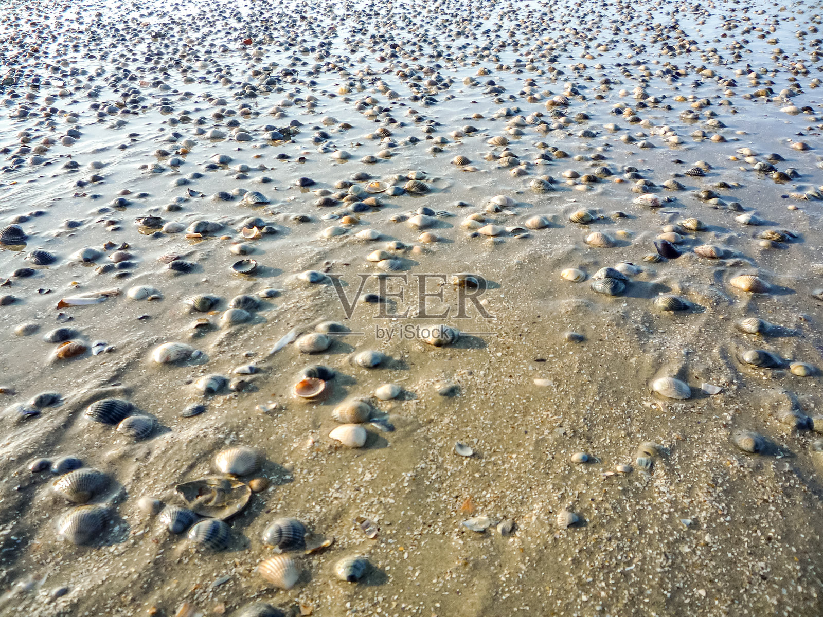 德国诺德奈岛的瓦登海海滩覆盖着沙子，形成了许多波纹。照片摄影图片