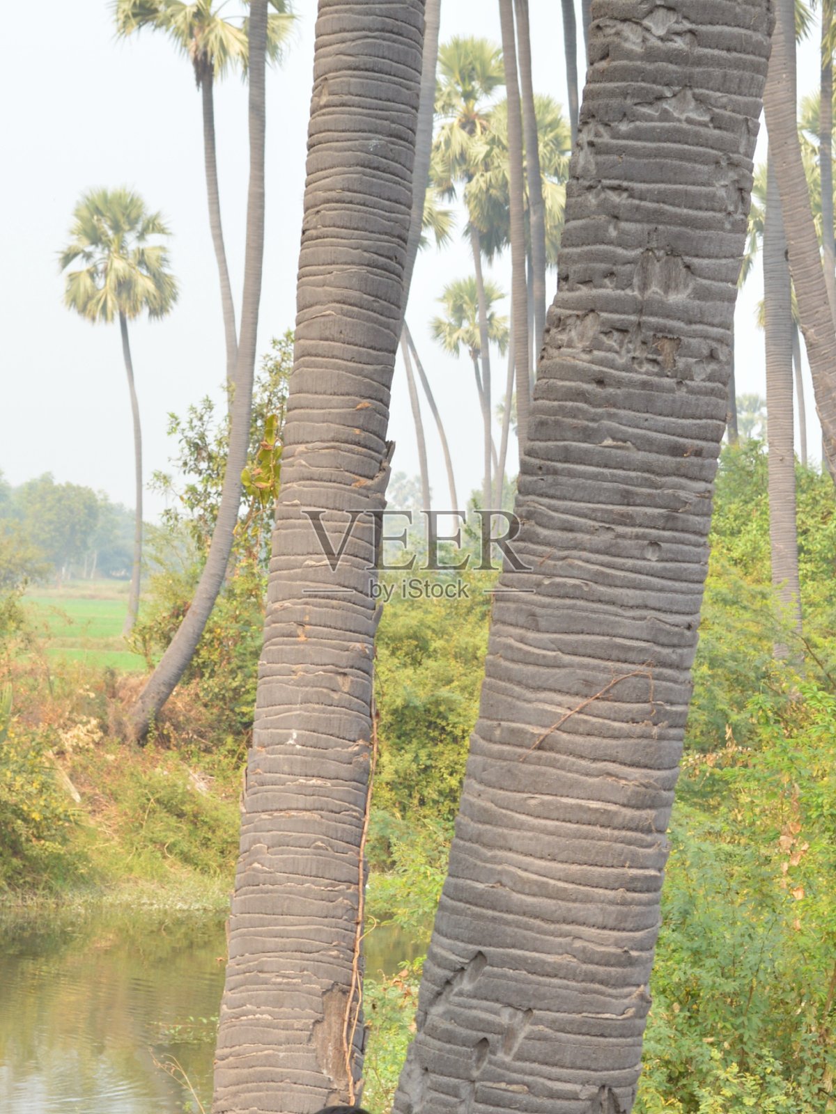 24公路旅行 D 13照片摄影图片