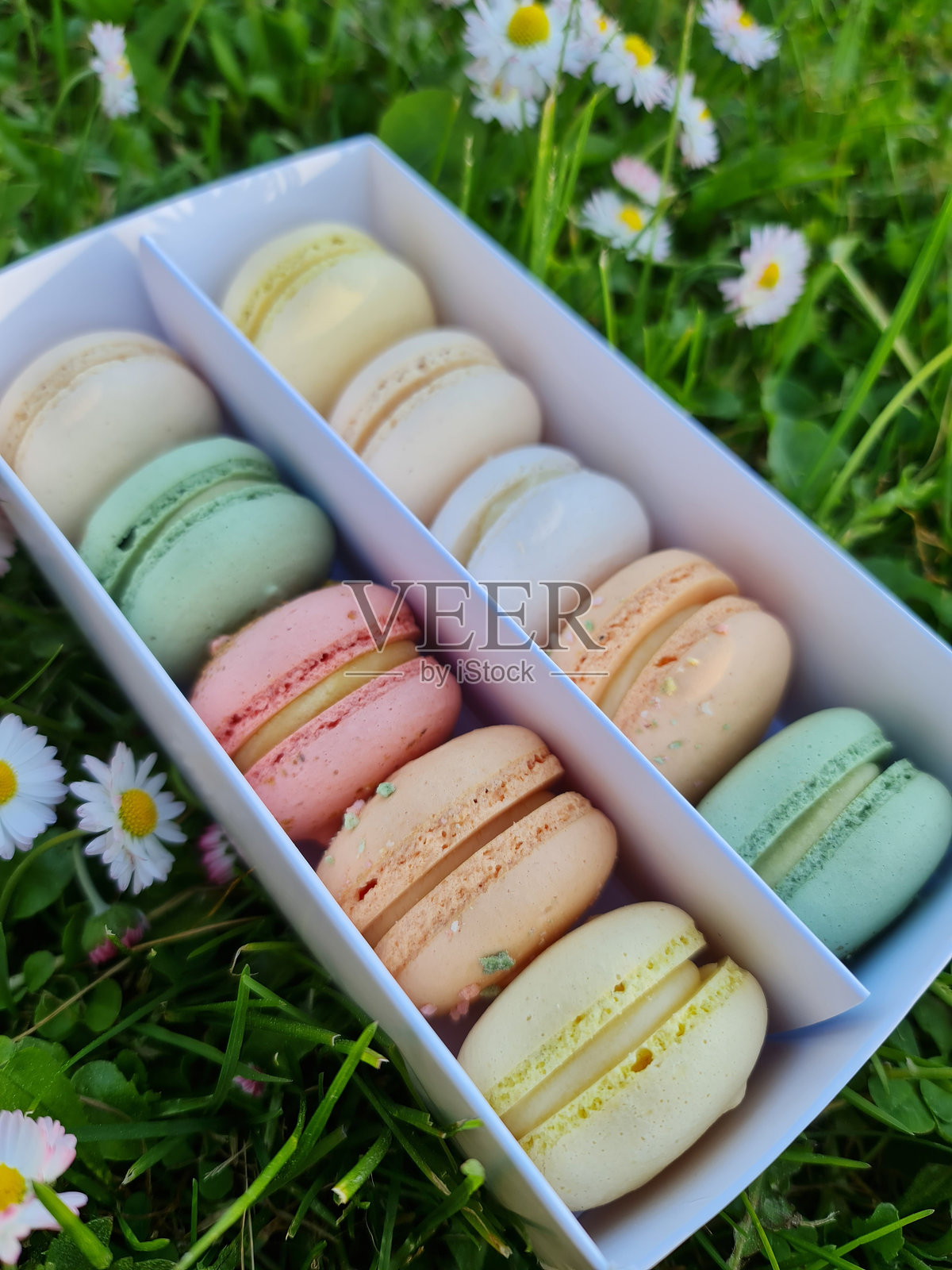 白色盒子里的粉彩色马卡龙。照片摄影图片