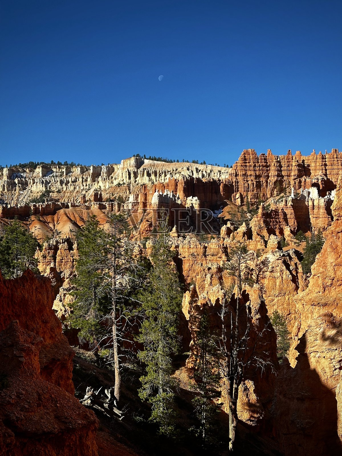 红色峡谷上的月亮（布莱斯峡谷国家公园，犹他州，美国）照片摄影图片