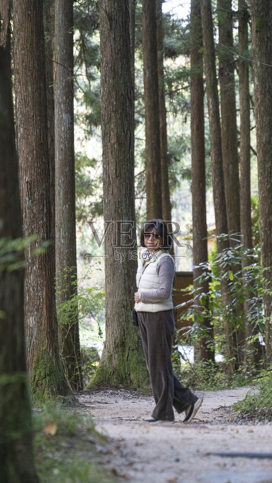 森林中站着的女人背影照片摄影图片