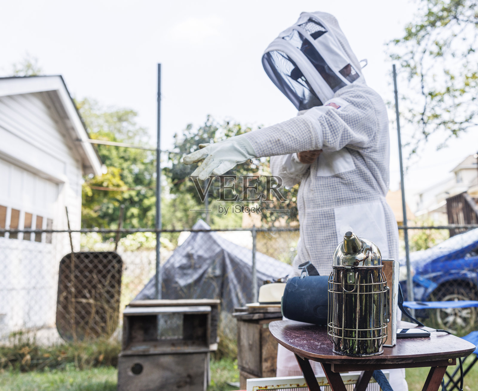 在进行养蜂工作之前必须穿戴保护装备。养蜂人在后院穿上白色保护服。照片摄影图片