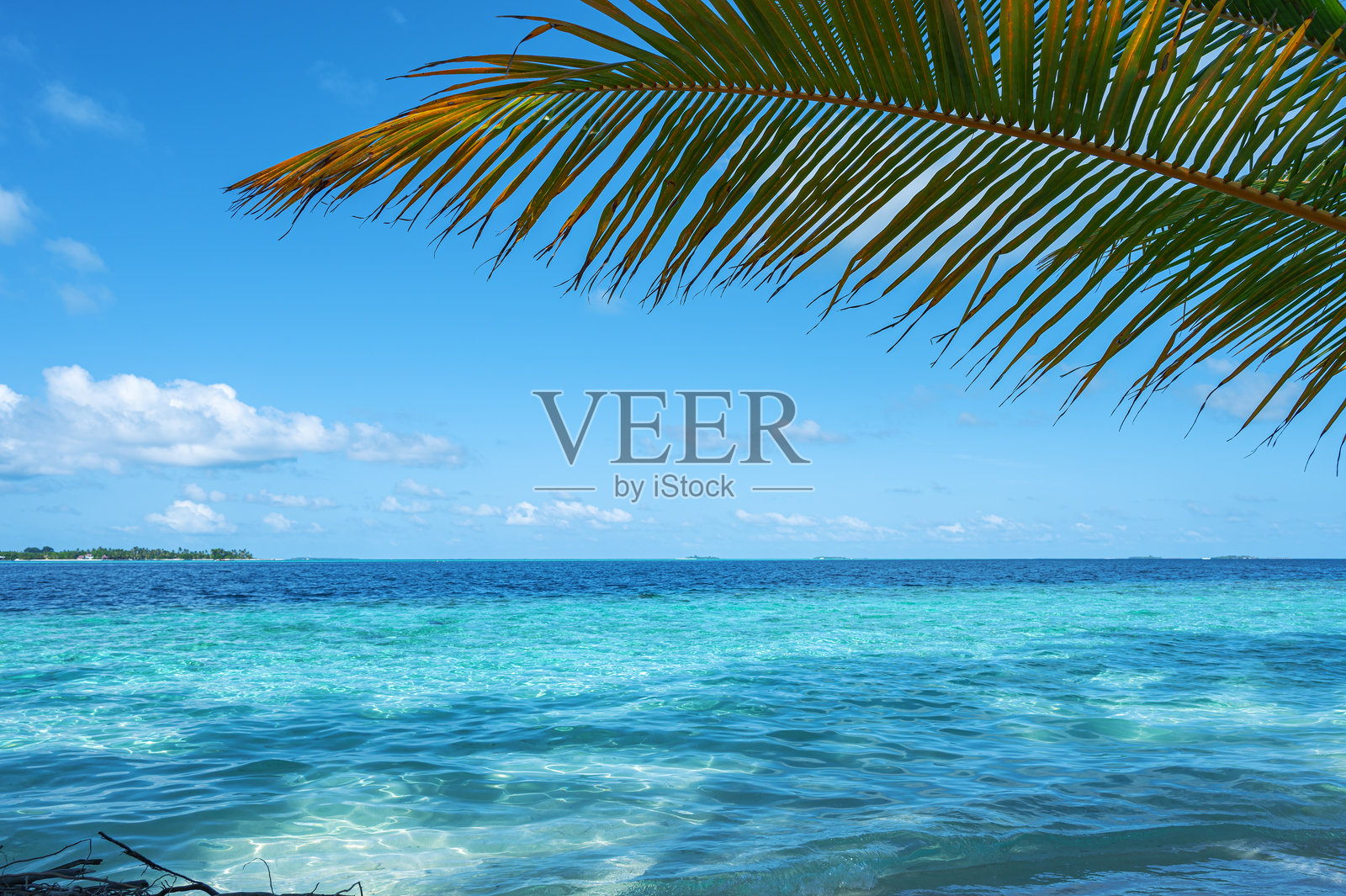 热带椰子树叶与碧蓝海洋和阳光明媚的蓝天，留白场景照片摄影图片