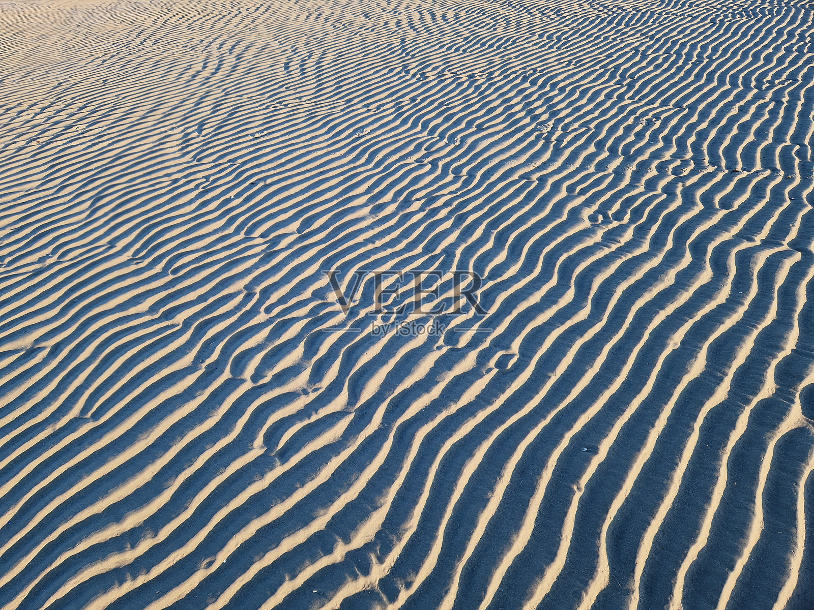 北海/瓦登海沙滩上的自然沙纹照片摄影图片