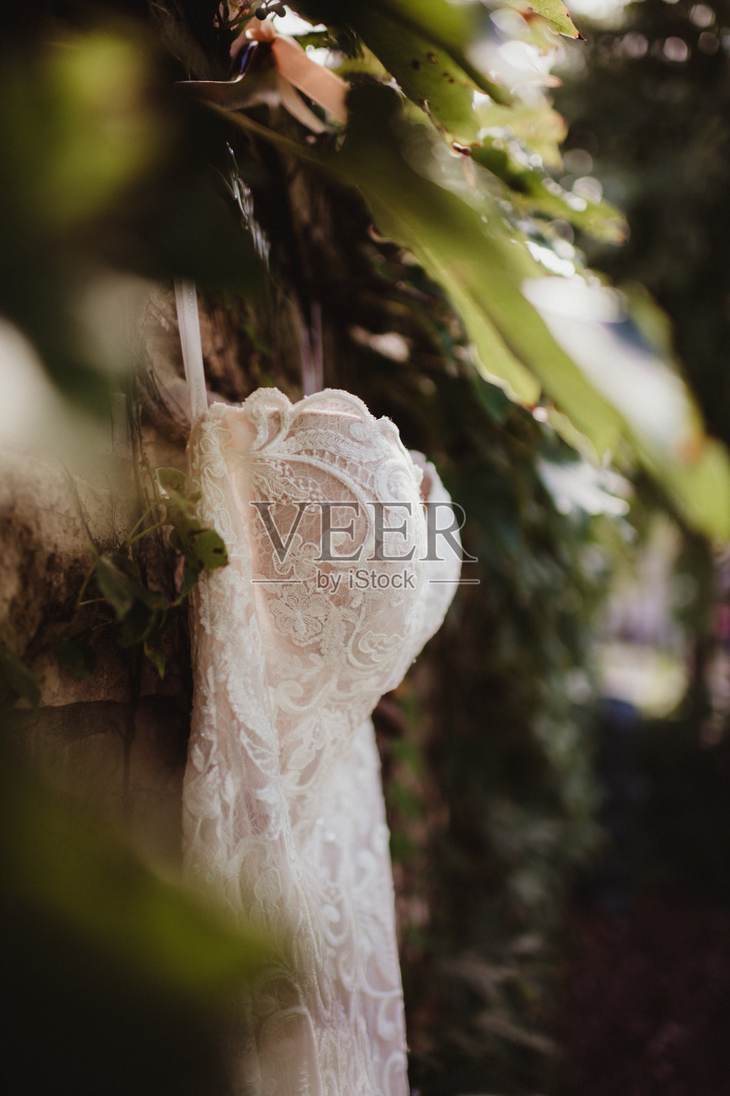 户外悬挂的婚纱侧面视图照片摄影图片