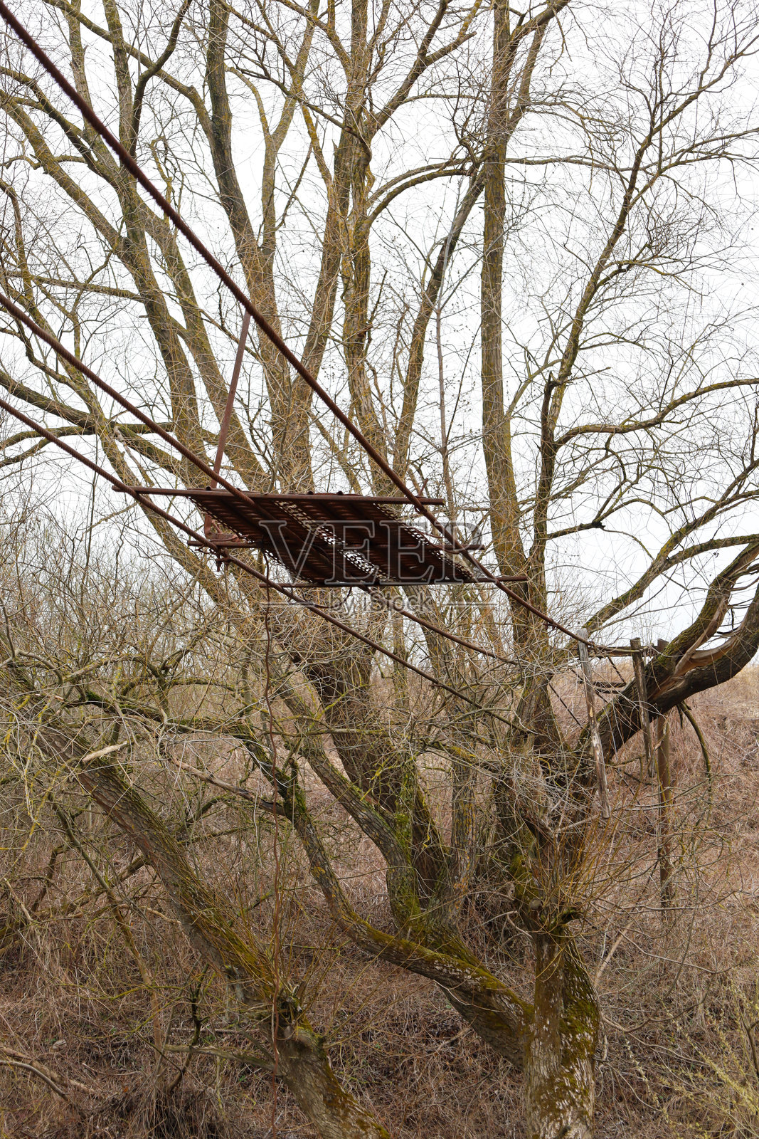 这张照片展示了一座悬挂在人树之间的行人桥的遗迹。可以看到一个带有黑色板材的金属结构，悬挂在树枝之间的电缆上。照片摄影图片