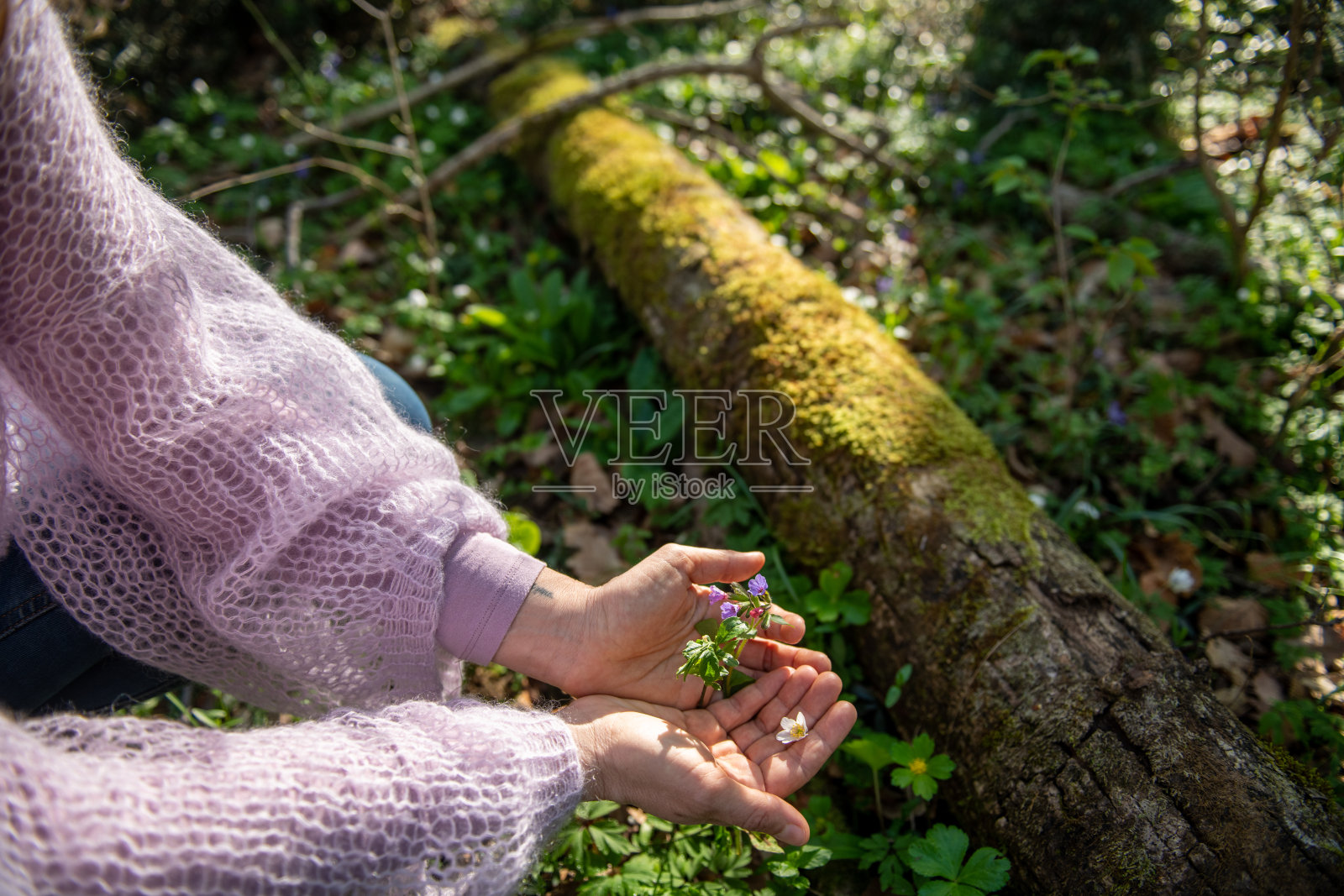 女人在森林中拥抱春天的花朵照片摄影图片