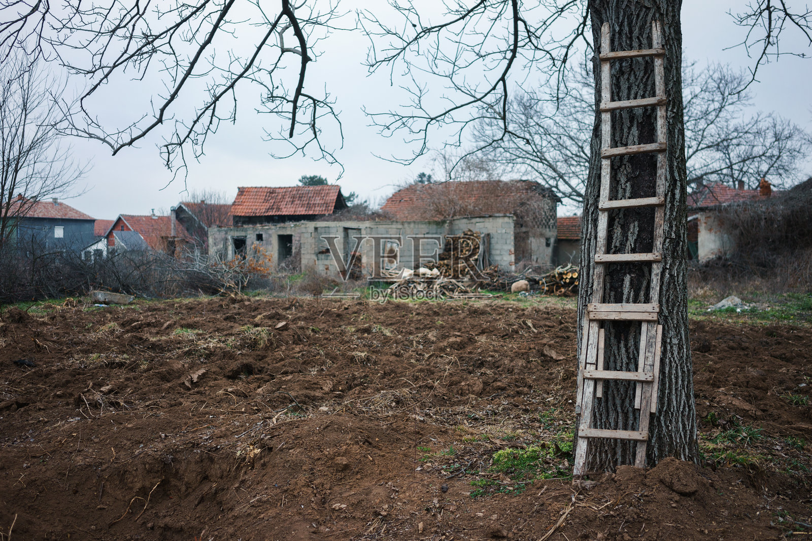 塞尔维亚村庄冬季生活方式照片摄影图片