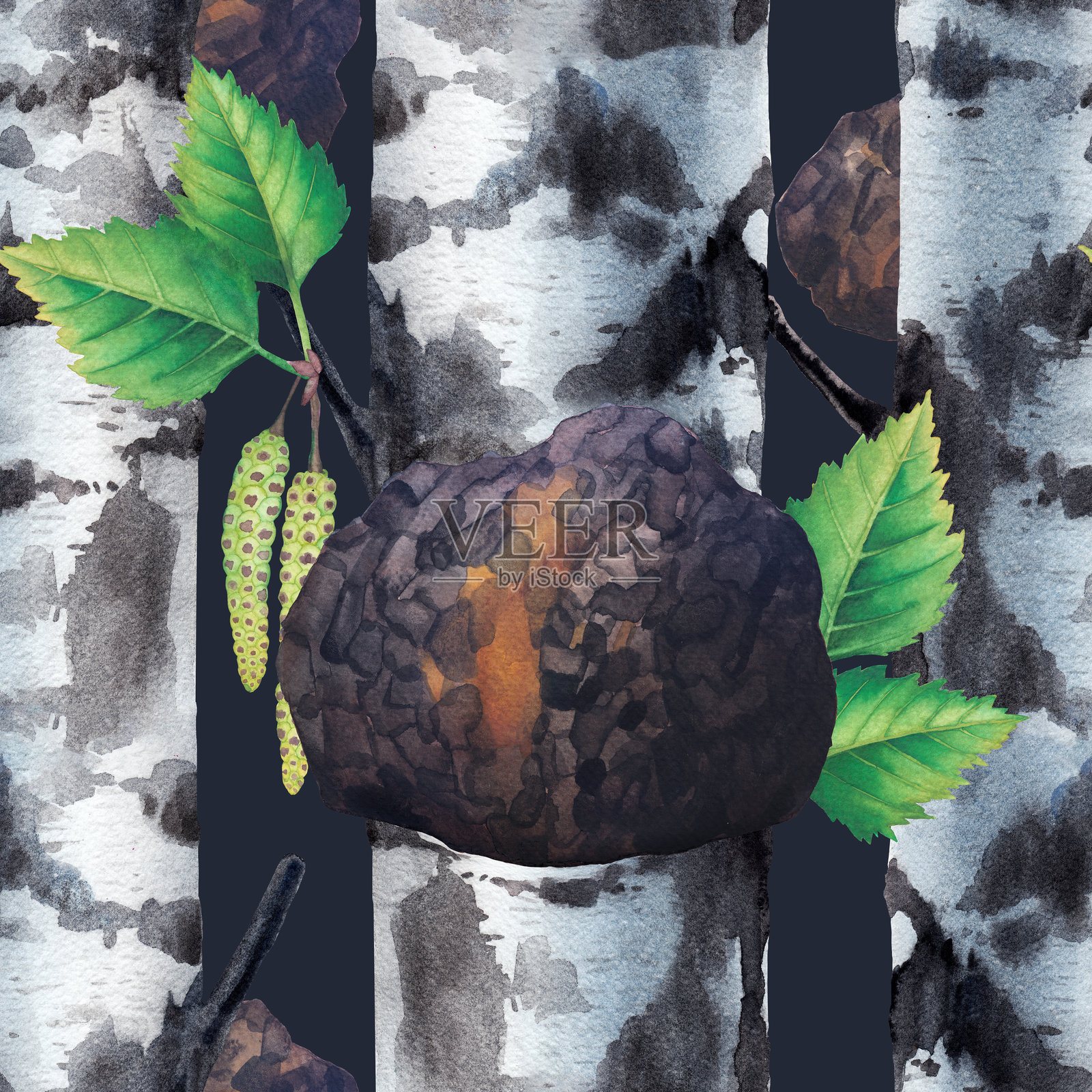 水彩无缝图案，描绘了从白桦树树干上生长的茶树菇插画图片素材