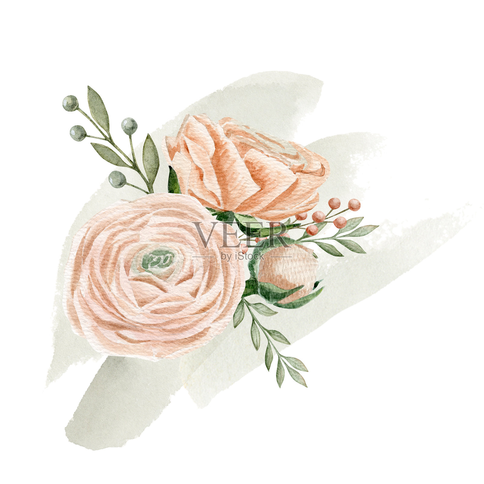 水彩作品，背景为桃粉色的海葱，搭配不同颜色的枝条和绿色的浆果。插画图片素材