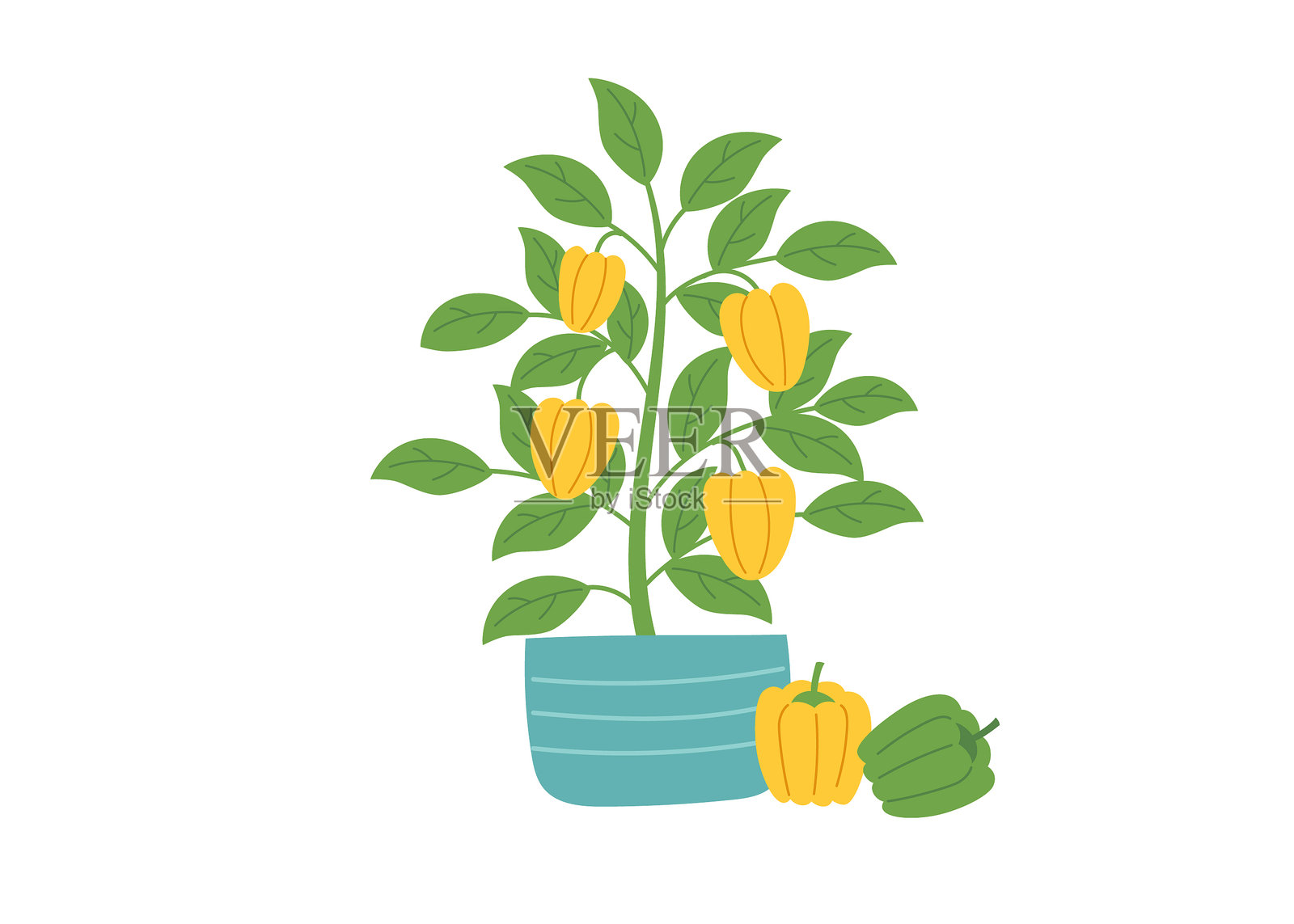 Pepper2插画图片素材