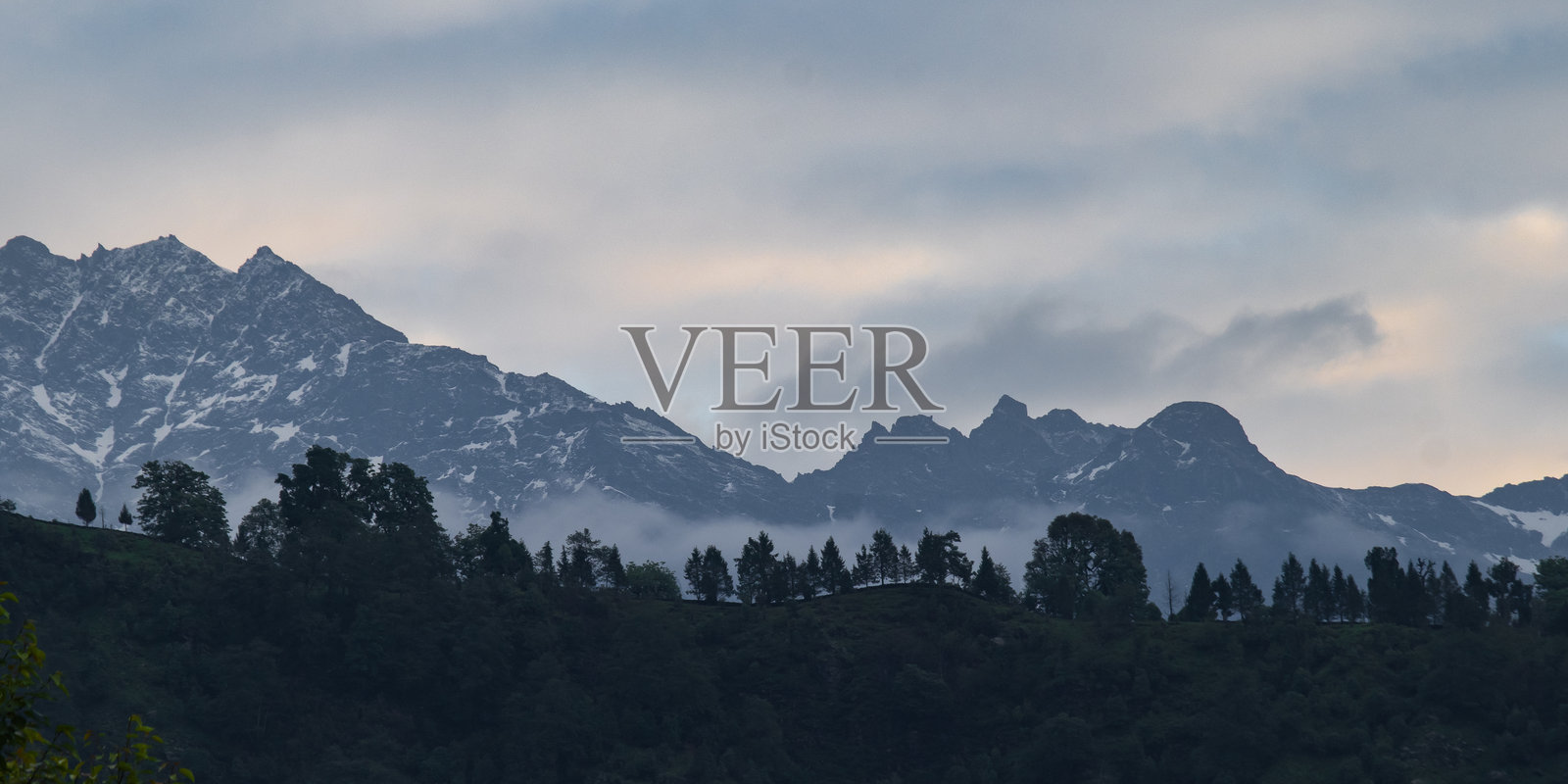 喜马拉雅山脉前方有松树林。多云的天空。照片摄影图片