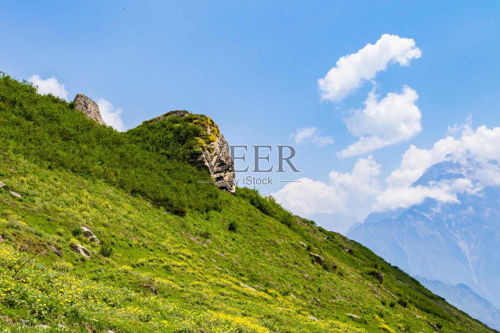 美丽的高山草甸，覆盖着郁郁葱葱的绿色草坪和小黄花，位于喜马拉雅山的山坡上。照片摄影图片