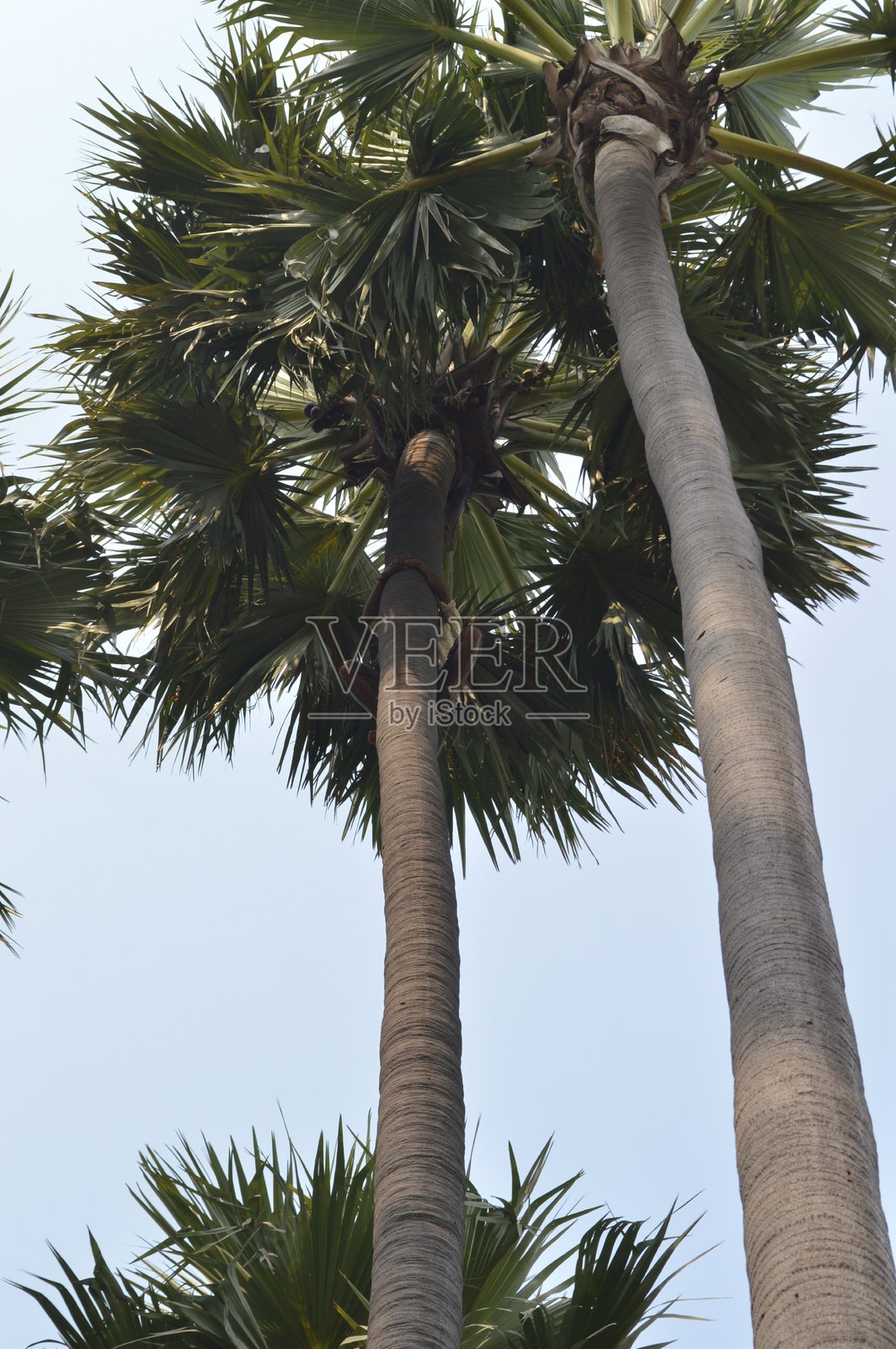 24公路旅行D 17照片摄影图片