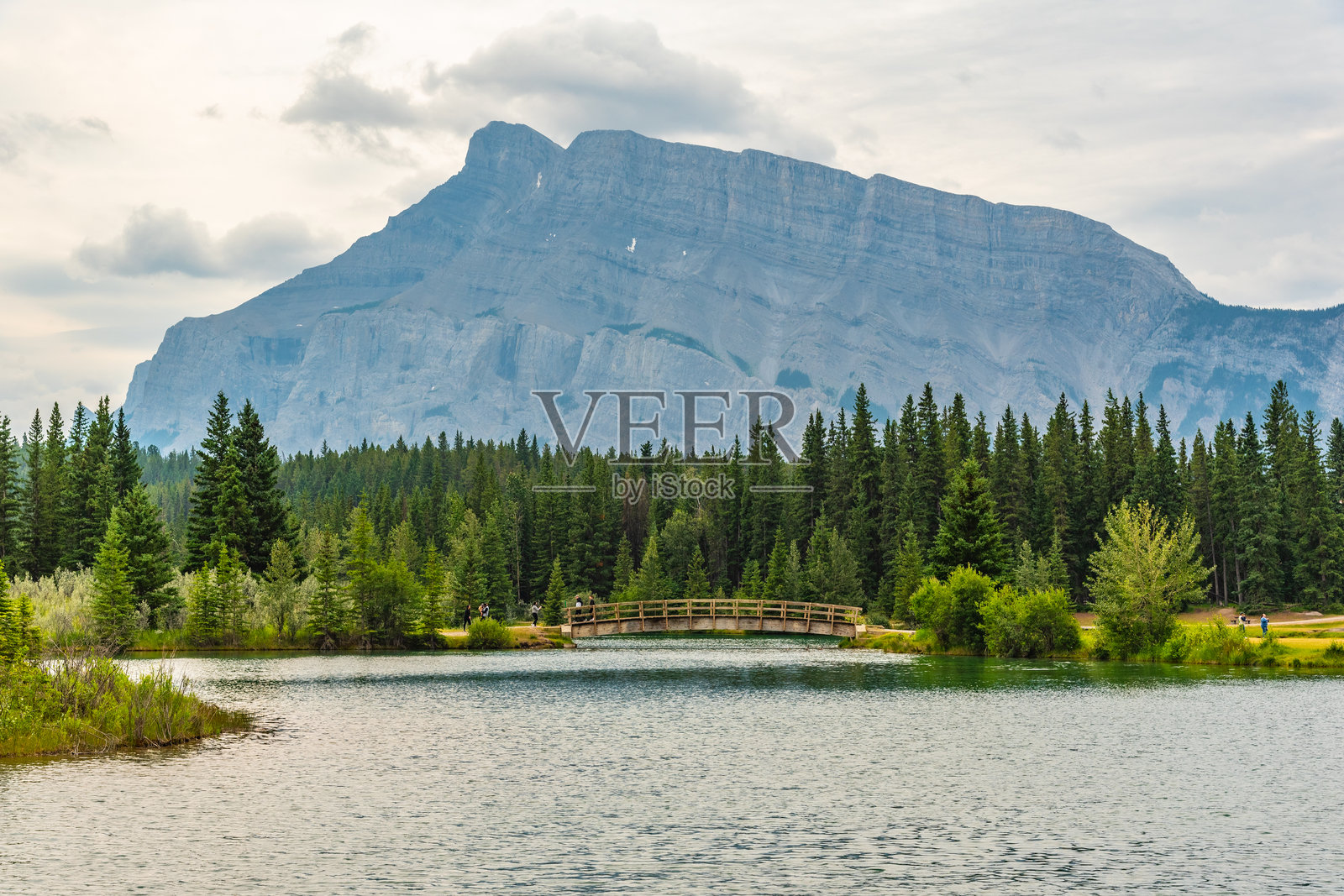 班夫国家公园的瀑布池在夏季，镇边缘的壮丽景色。视野中有明亮的黄色野花。照片摄影图片