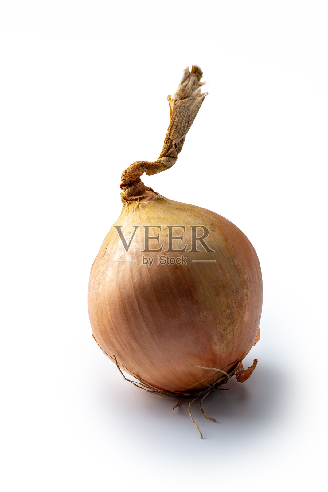 蔬菜；一个洋葱。照片摄影图片