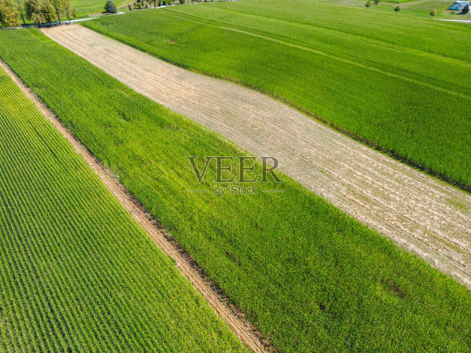 绿色农业田的鸟瞰图照片摄影图片