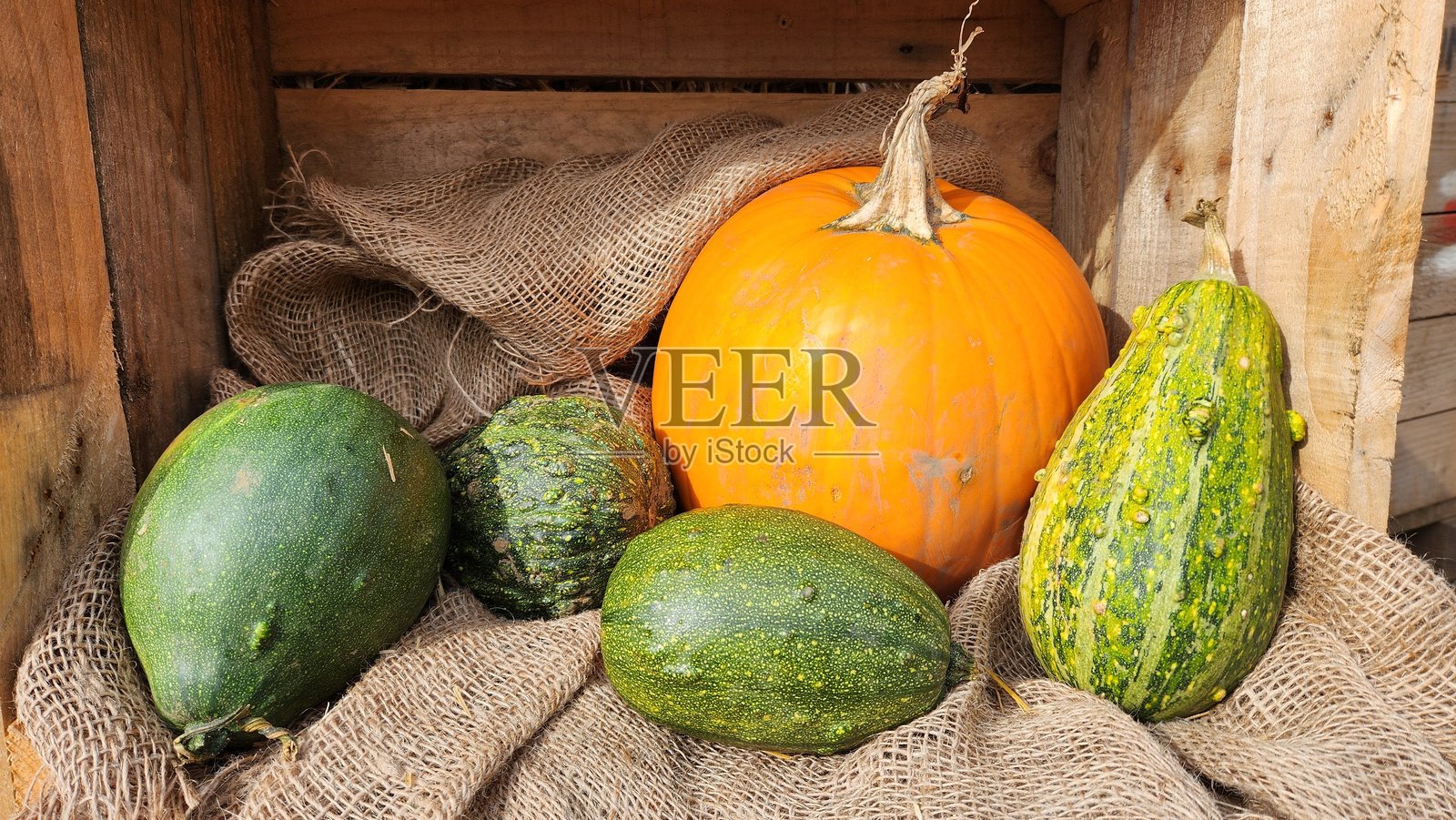 南瓜静物画照片摄影图片