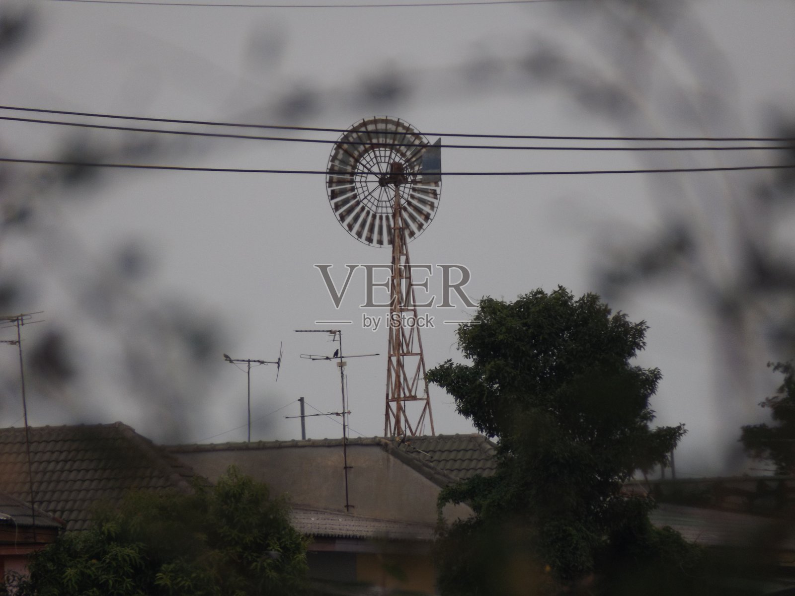 傍晚的光线照片摄影图片