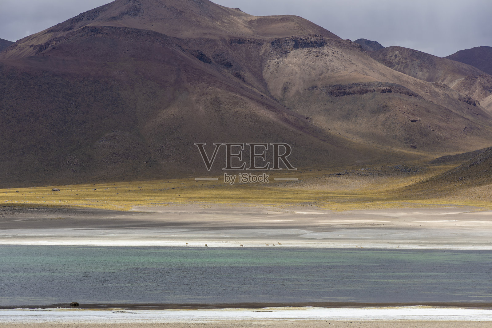 智利的阿塔卡马沙漠照片摄影图片