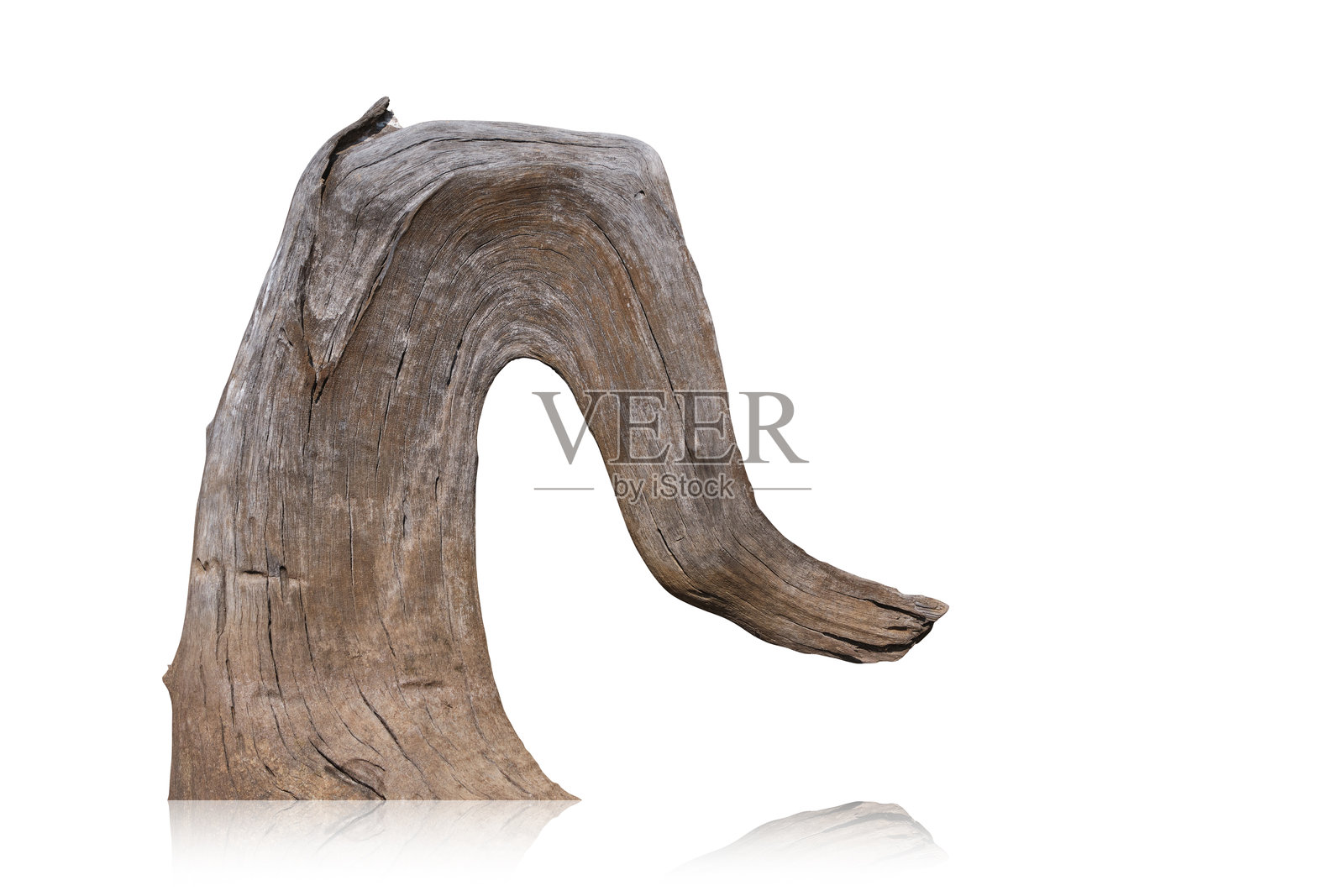 干枯裂开的树枝，黑色树皮，孤立在白色背景上。抠图路径。照片摄影图片