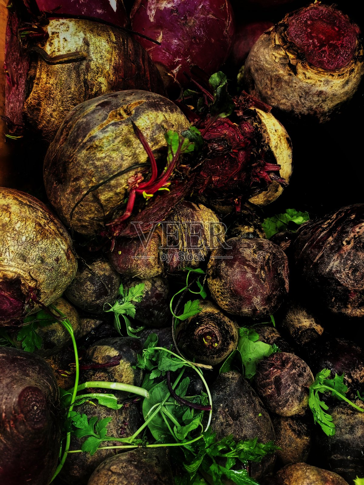甜菜和萝卜 3照片摄影图片