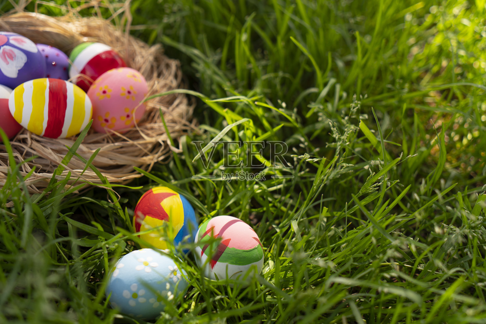 隐藏在草丛中的彩绘复活节彩蛋巢照片摄影图片
