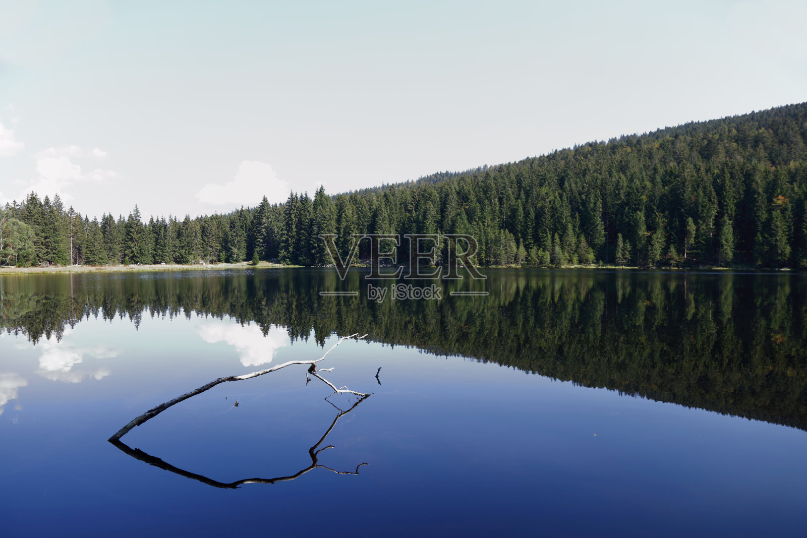 Kleiner Arbersee / Kleiner Arbersee /照片摄影图片