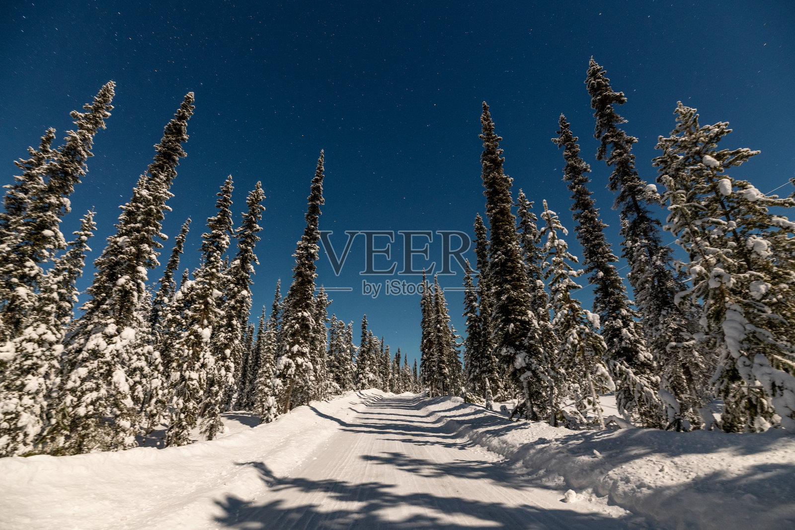 北加拿大育空地区冬季公路的夜景。拍摄于月光照耀的夜晚，明亮的蓝色星空，周围环绕着云杉树。照片摄影图片