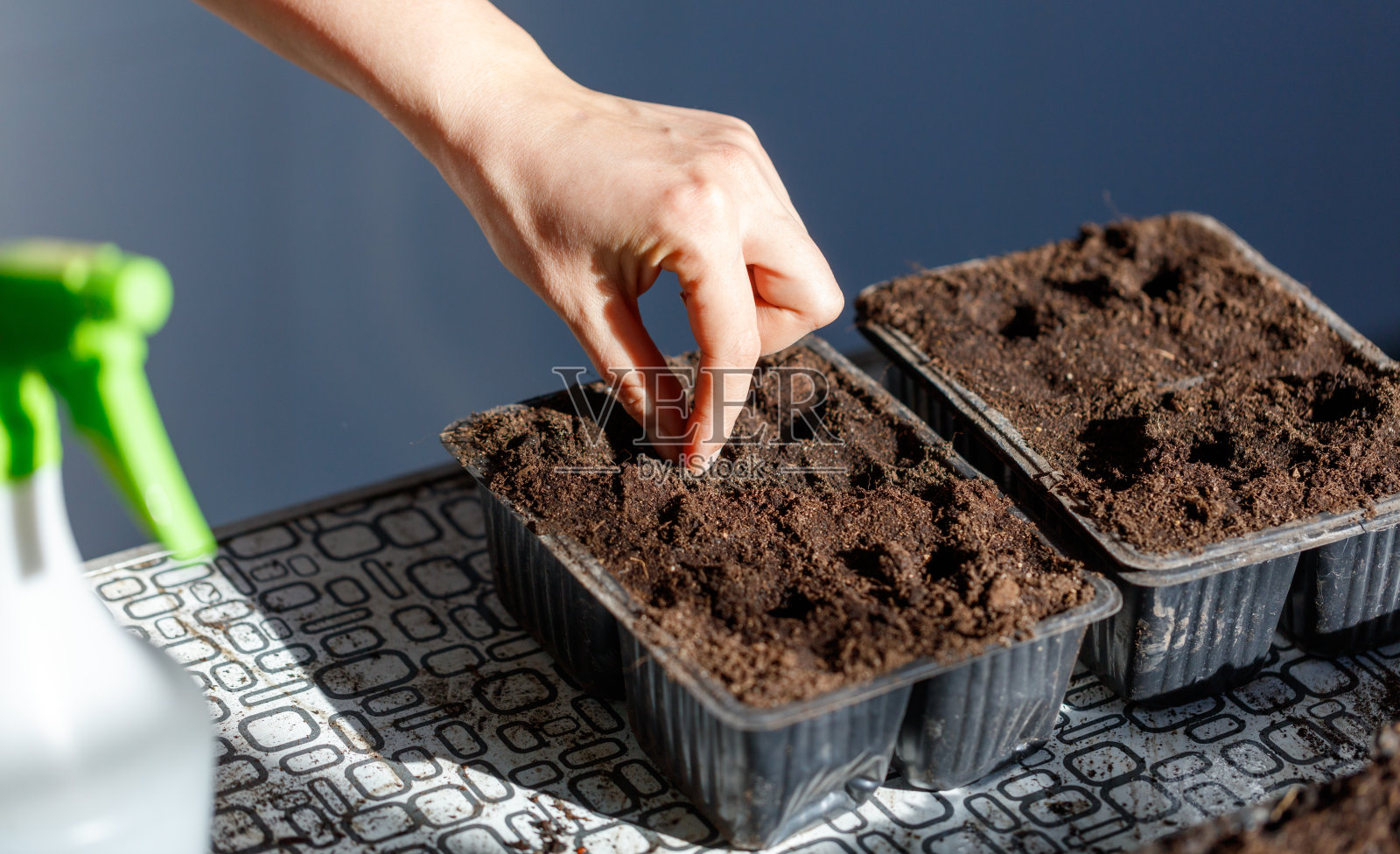 一个人在土壤托盘中种植种子照片摄影图片