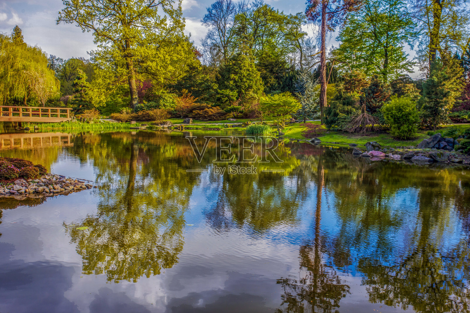 弗罗茨瓦夫的日本花园美景，池塘、木桥和凉亭，以及修剪整齐的松树。照片摄影图片