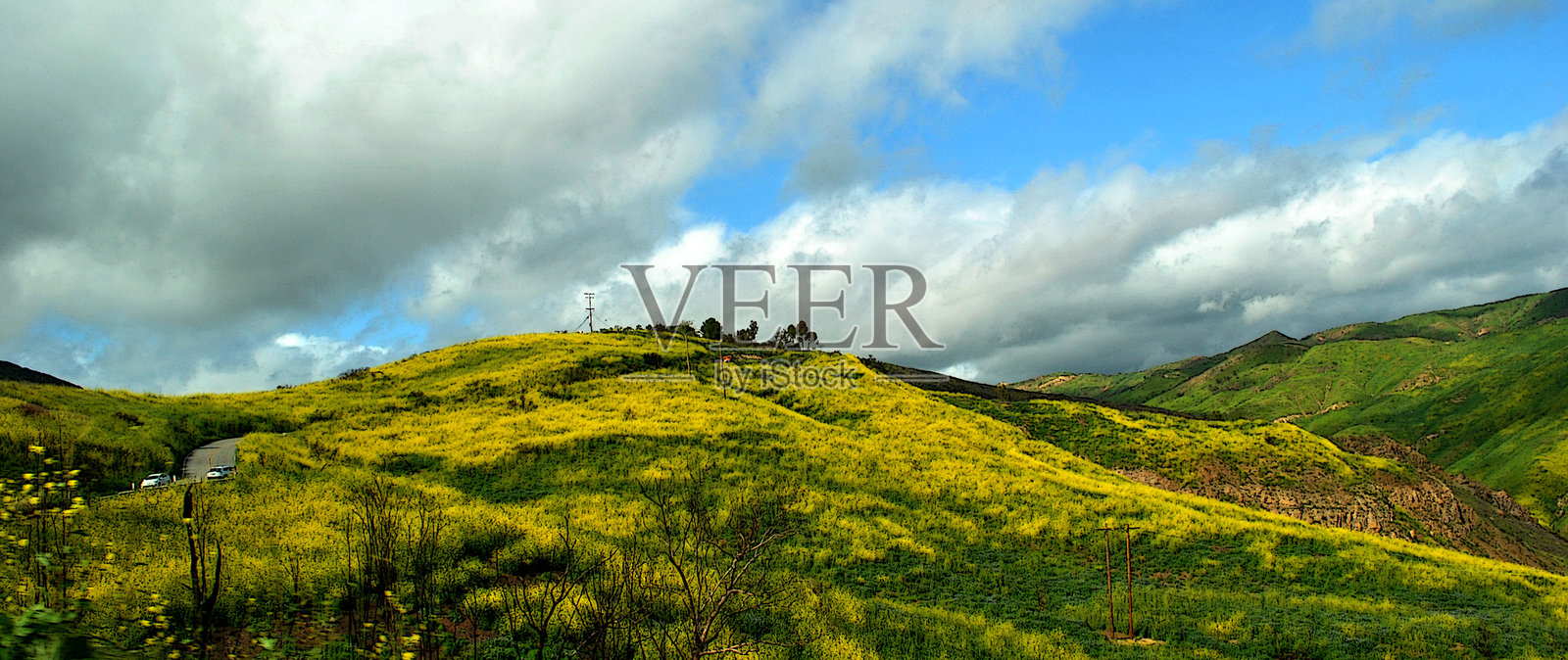 马里布照片摄影图片