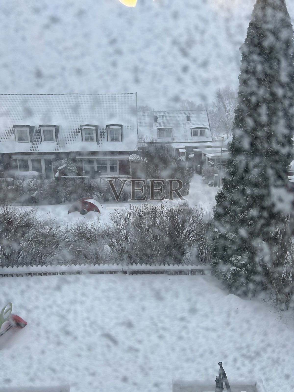 冬季活动照片摄影图片