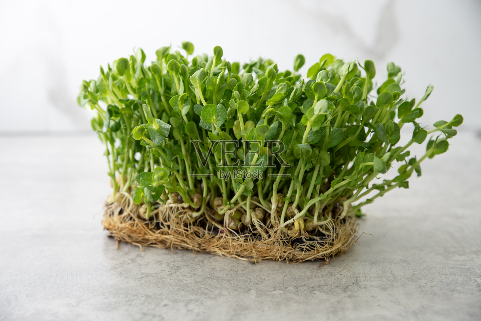 微型绿点特写。健康饮食。商业横幅照片摄影图片