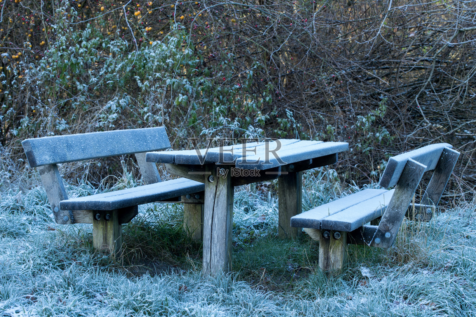 丹麦斯堪的纳维亚森林中，寒冷冬日的长椅和桌子上覆盖着霜冻。照片摄影图片