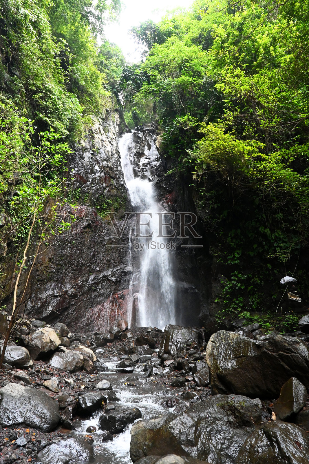 “耶曼佩瀑布”位于巴厘岛布勒伦县，周围是美丽的森林景观。照片摄影图片