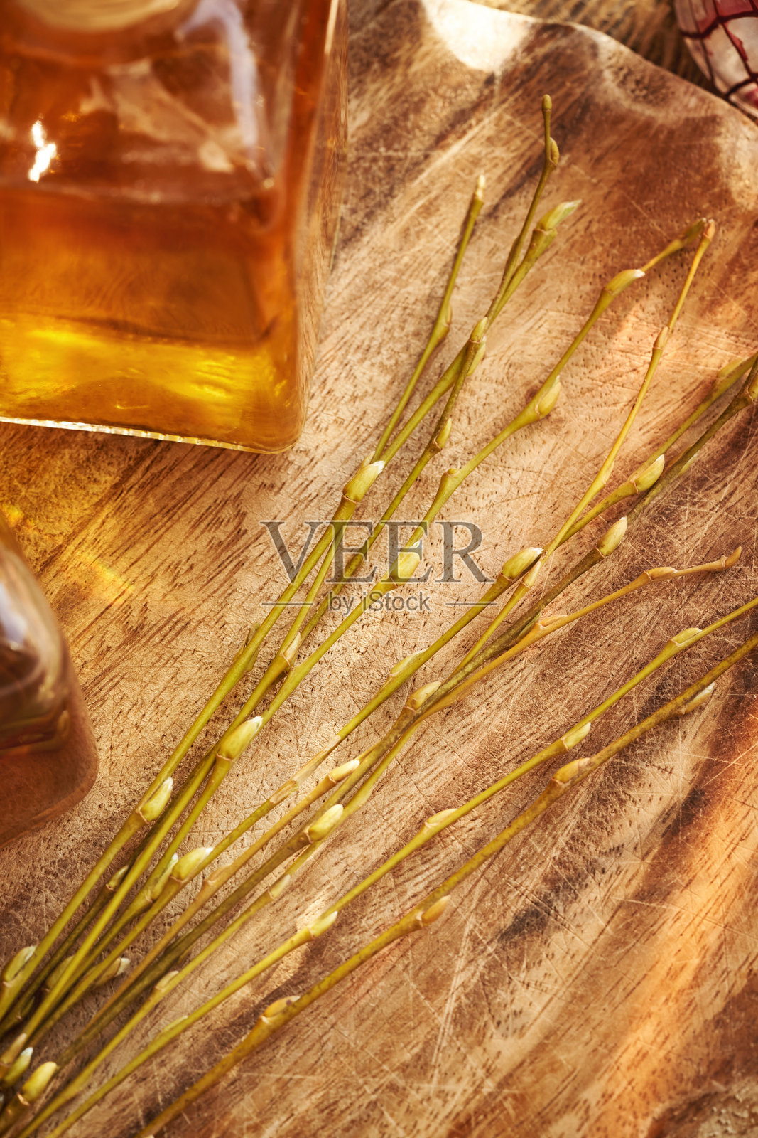 一瓶含有年轻柳树枝条和芽的植物药草酊剂照片摄影图片