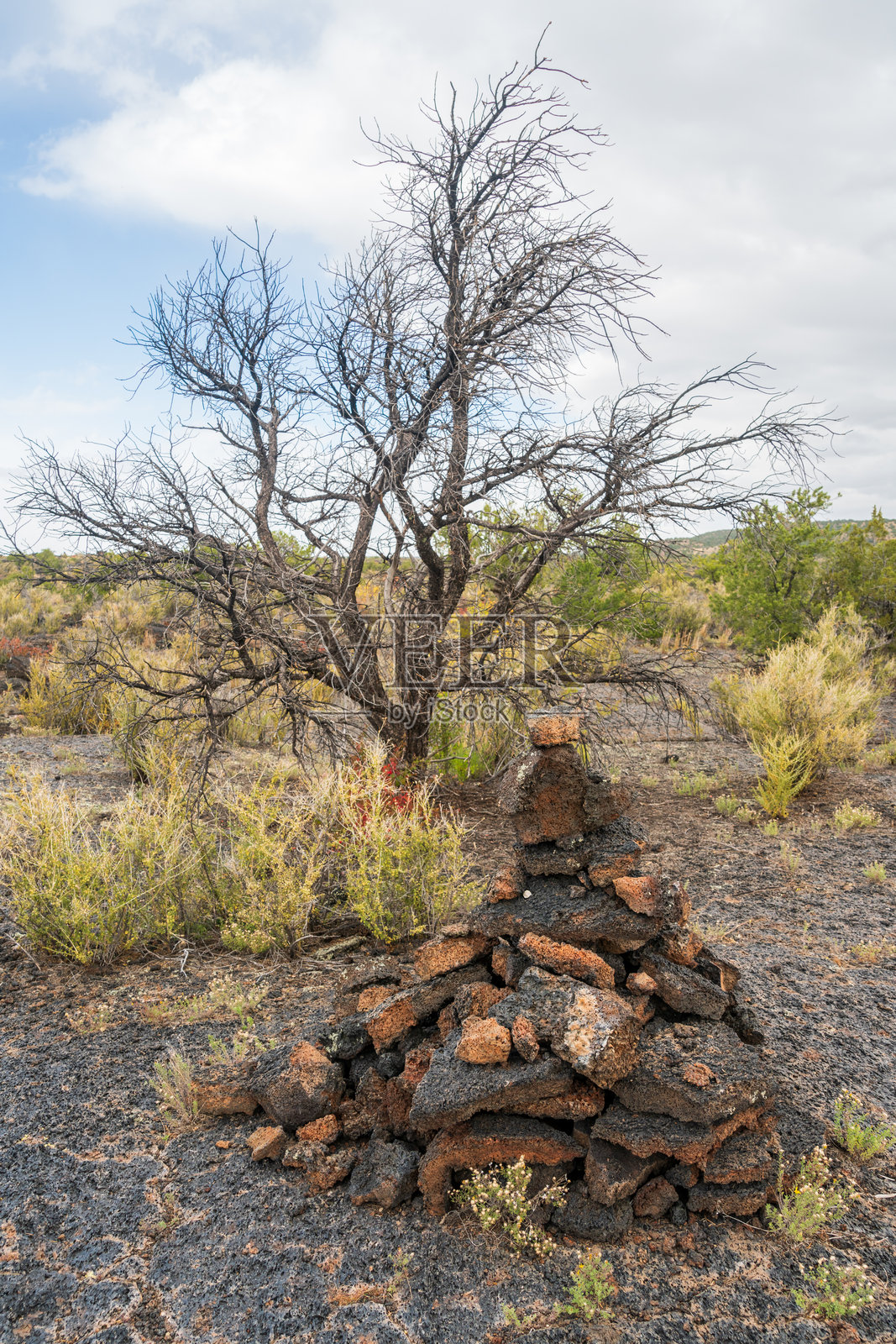 埃尔马尔帕伊斯国家纪念碑的火山景观照片摄影图片