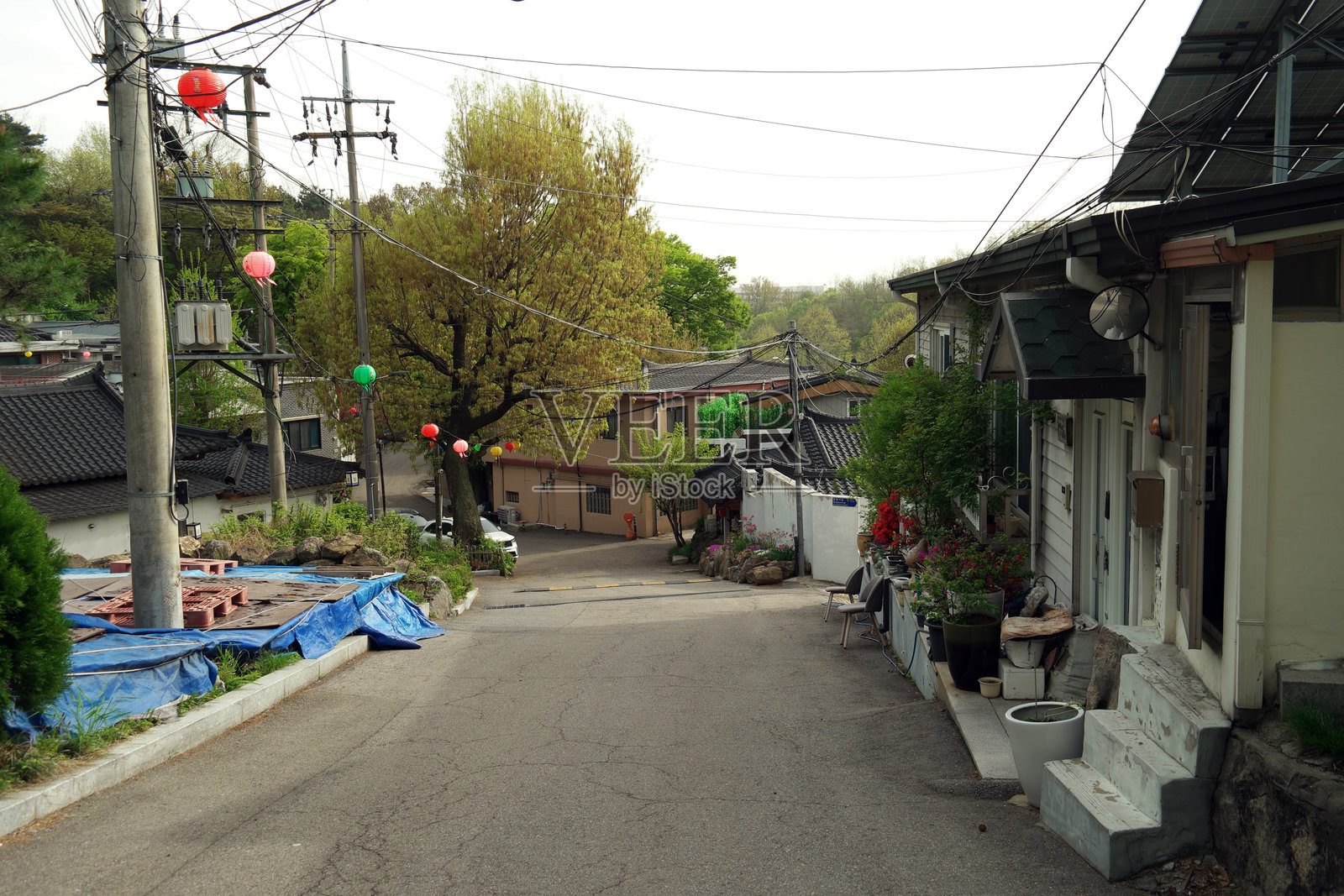 韩国奉元寺照片摄影图片