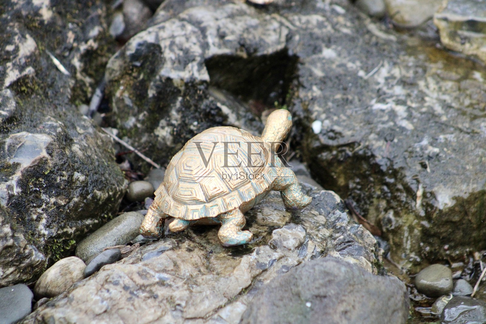 后院无池瀑布照片摄影图片