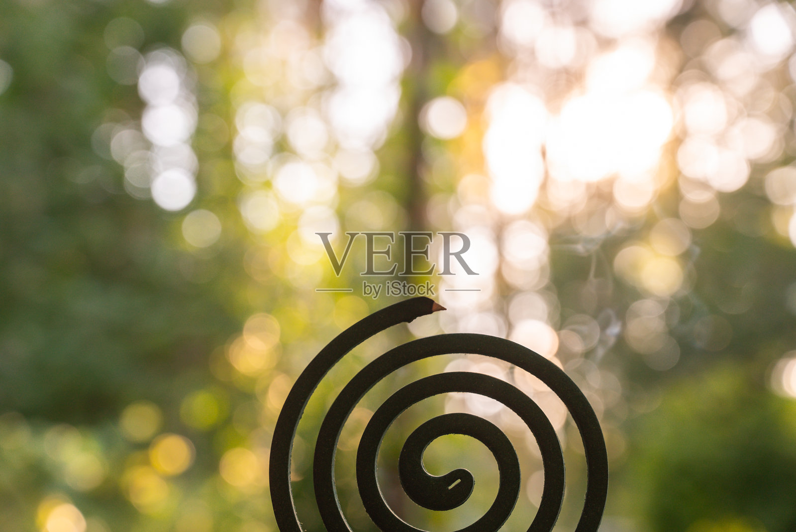 绿色蚊香 夏季户外驱虫剂。试图消灭蚊子和苍蝇。预防蚊虫叮咬的消毒。照片摄影图片