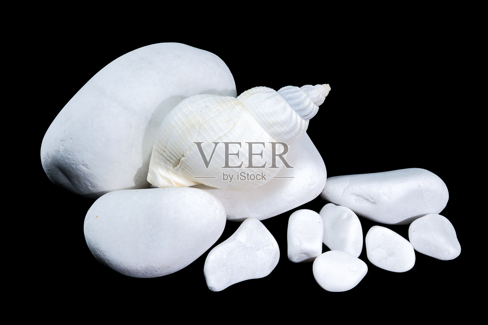 白色的海螺壳与白色石头相伴照片摄影图片