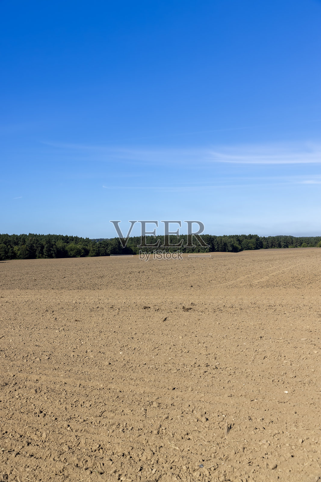 一片森林生长在农业用地旁边照片摄影图片