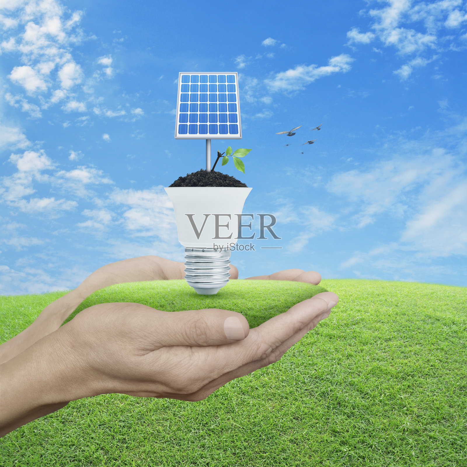 绿色生态与节能理念照片摄影图片