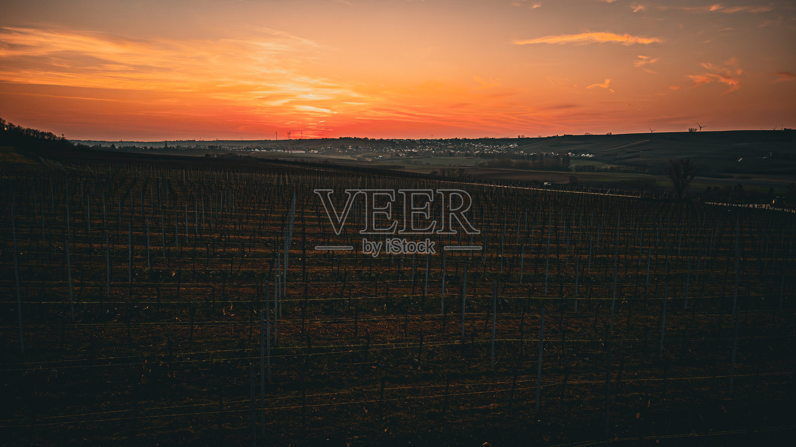 莱茵黑森葡萄园的日落 – 空中视角照片摄影图片