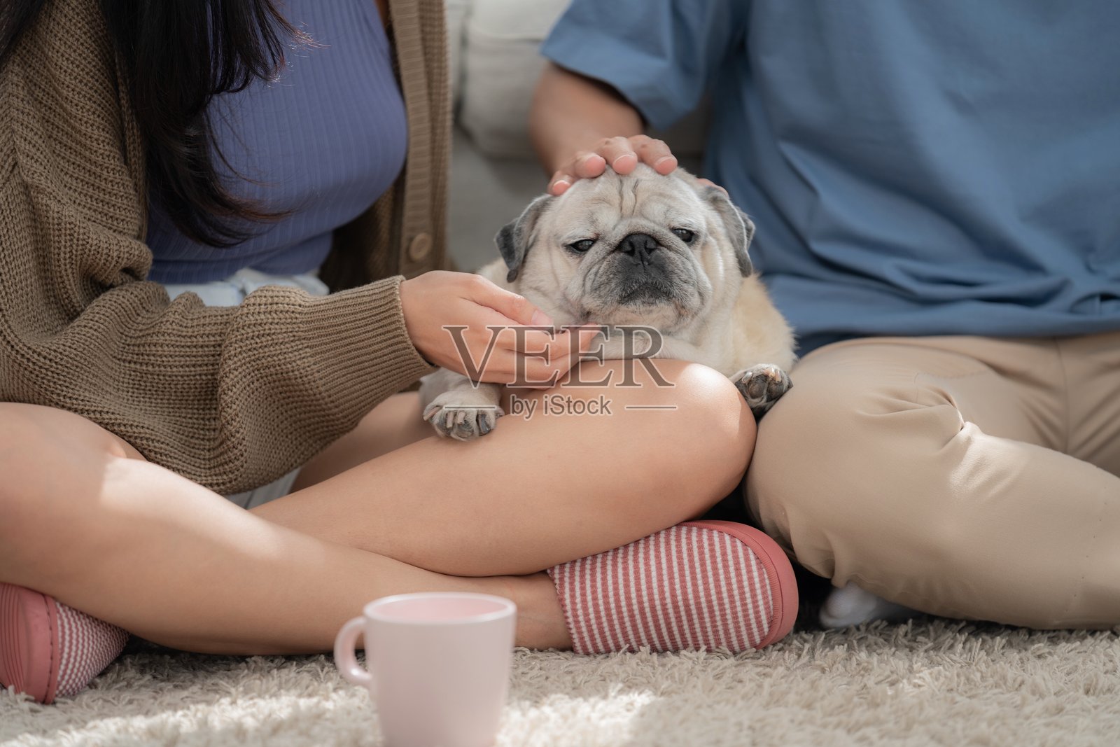情侣在温馨的下午，在客厅与宠物狗享受放松的时光照片摄影图片