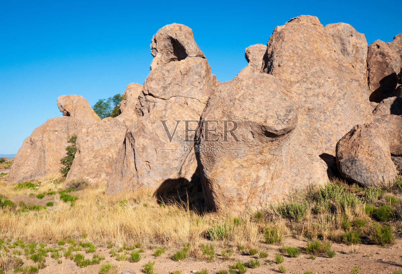 新墨西哥州的岩石城市州立公园照片摄影图片