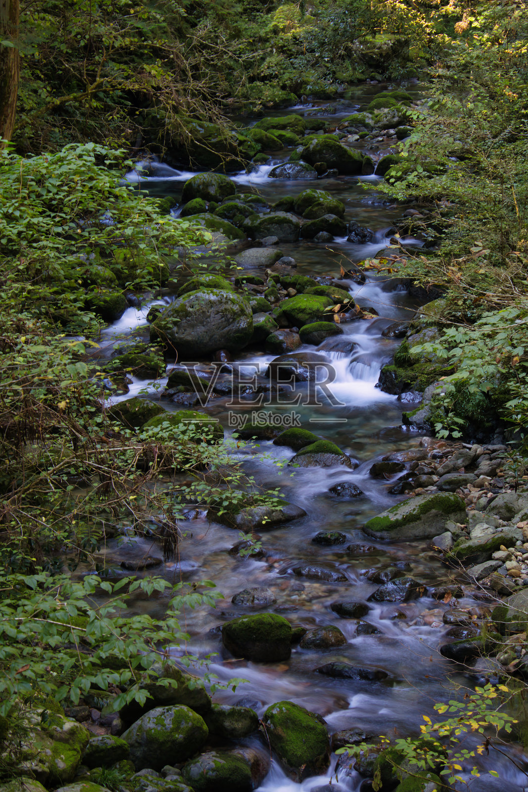 美丽清澈的蓝色山溪潺潺流淌照片摄影图片